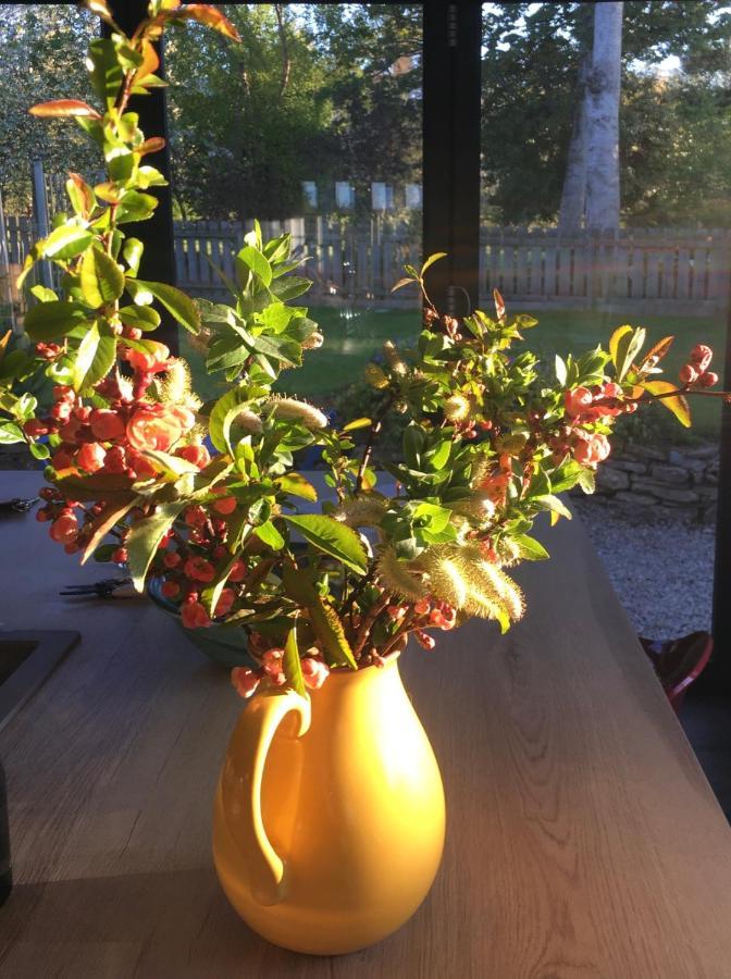 By The Brae Bed & Breakfast Инвернес Екстериор снимка